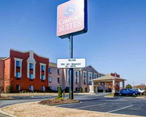 Отель Comfort Suites Gadsden Attalla  Гадсден